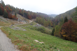 Corte Inferiore dell'Alpe Caneggio