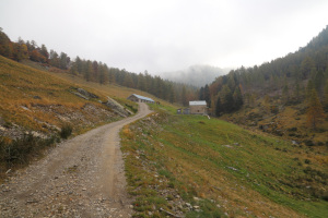 Corte di Mezzo dell'Alpe Caneggio
