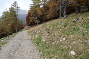 Inizio del sentiero che sale al Pizzo di Corgella
