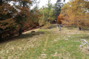 Sentiero che sale al Pizzo di Corgella