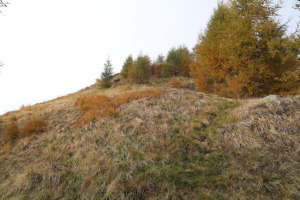 Sentiero che sale al Pizzo di Corgella