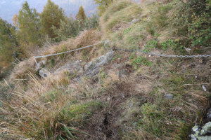 Sentiero che scende ai Monti del Tiglio