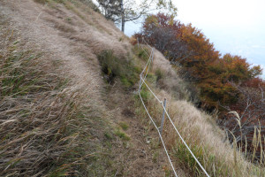 Sentiero che scende ai Monti del Tiglio