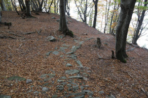 Sentiero che scende ai Monti del Tiglio