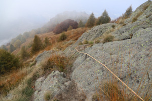 Sentiero che scende ai Monti del Tiglio