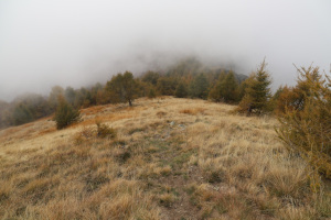 Sentiero che scende al Cucchetto