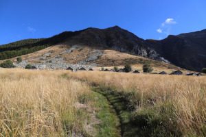 Alpe Bardughè