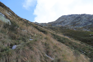 Sentiero che sale al Pizzo di Vogorno