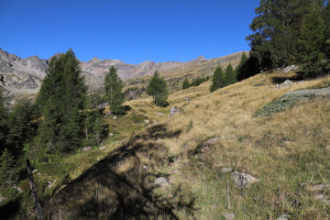 Via diretta che sale al Rifugio Alpe Sponda