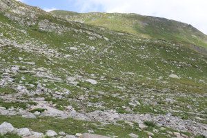Sentiero che sale al Passo del Naret