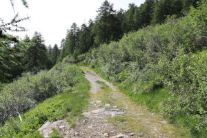 Inizio della traccia che sale al Passo dei Laghetti