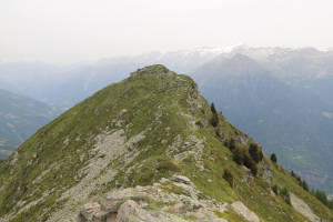 Foto di copertina