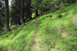 Traccia che sale verso il Passo dei Laghetti