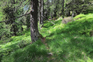 Traccia che sale verso il Passo dei Laghetti