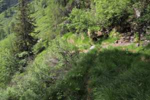 Traccia che sale verso il Passo dei Laghetti