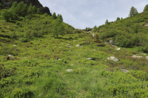 Traccia che sale verso il Passo dei Laghetti