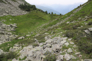 Via di discesa verso l'Alpe del Gualdo