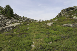 Via di salita verso il Passo dei Laghetti