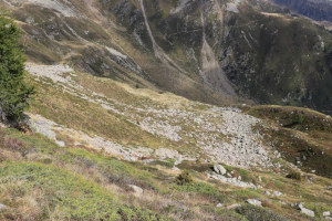 Via di discesa verso l'Alpe Sasso Jei