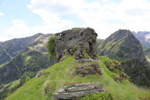 Foto di copertina