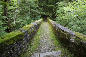 Ponte sul fiume Rovana