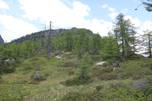 Via di salita al Pizzo Sascòla