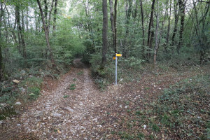 Strada verso la Costa di Prabello