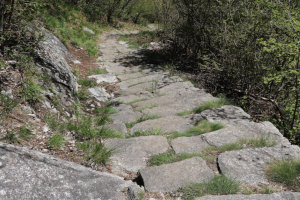 Scalinata sul sentiero che scende dalla Forcola d'Arasio