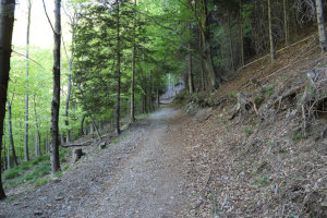 Strada per l'Alpe di Mageno