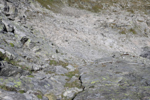 Via di discesa dal Poncione dei Laghetti Via di discesa dal Poncione dei Laghetti