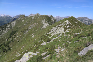 Cresta verso il Poncione del Rosso