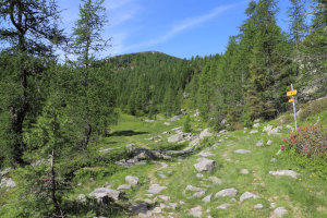 Sentiero che sale al Laghetto dei Salei