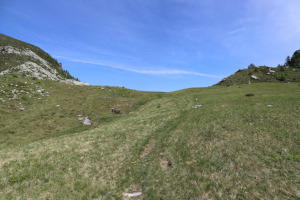 Sentiero che sale al Passo del B&ugrave;san