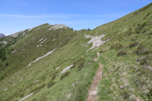 Sentiero che sale al Pilone