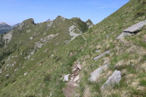 Traccia che porta al Poncione del Rosso