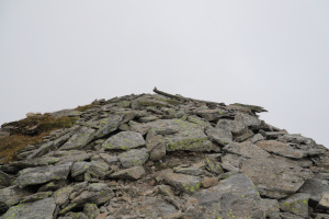 Quasi in cima al Poncione di Braga