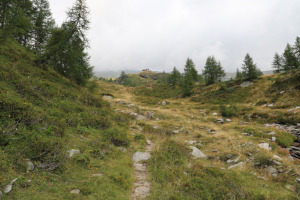 Sentiero che sale alla Capanna Poncione di Braga