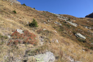 Traccia che sale ai Laghi di Mottella
