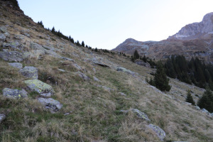 Traccia che sale all'Alpe di Mottella