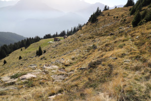 Traccia che scende all'Alpe Stou