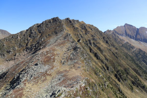 Foto di copertina