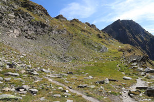 Sentiero che sale alla Bassa del Lago Scuro Sentiero che sale alla Bassa del Lago Scuro