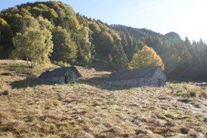 Alpe di Foppiana