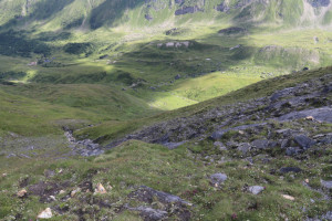 Discesa in Val di Campo