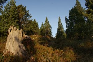 Selva Secca e Sorgente del Brenno