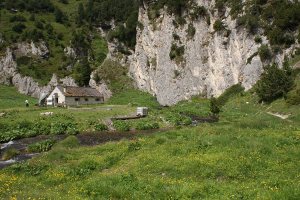 Alpe Pertusio
