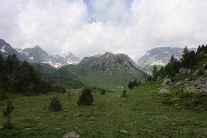 Lareccio