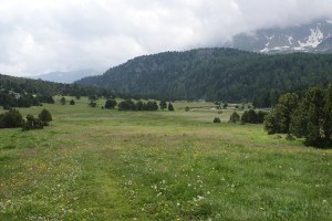 Pianura in zona Alpe Casaccia