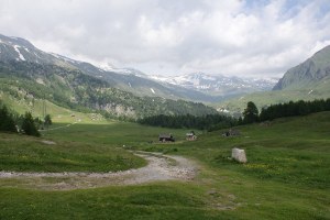 Stabbio Nuovo