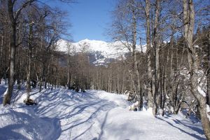 Strada innevata